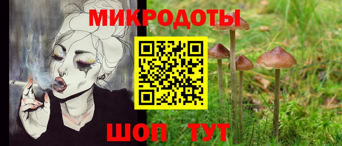 Азнакаево  Псилоцибиновые грибы Psilocybe  Вход с VPN 